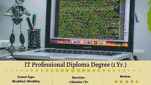 IT Professional Diploma Degree