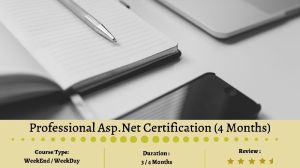Professional Asp.Net Certification