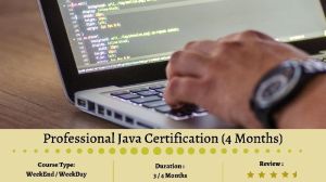 Professional Java Certification