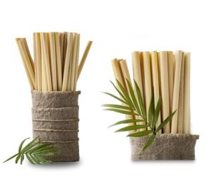 bamboo straw