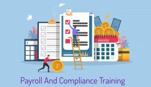 hr payroll training online