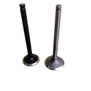 Engine Valve Set