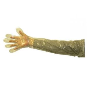 Veterinary Glove