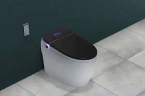 Smart Toilet Seat