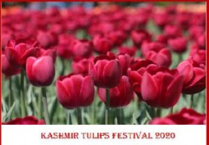 05 Nights 06 Days Kashmir Tour Packages