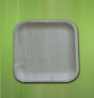 10 Inch Square Areca Leaf Plate