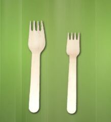 Areca Leaf Fork
