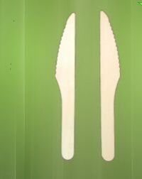 Areca Leaf Knife