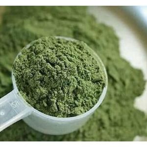 Organic Stevia Powder