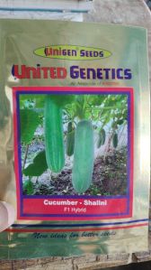 Shalini cucumber