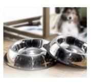 Stainless Steel Pet Bowl