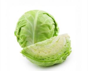 Fresh Cabbage