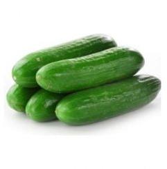 Fresh Cucumber