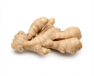 Fresh Ginger