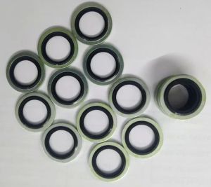 Rubber Bonded Sealing Washer