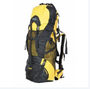 Trekking bag