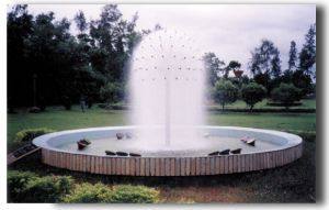 Dandelion Fountain