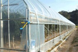 Greenhouse Curtain Automation