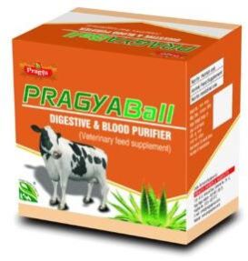 Pragya Ball