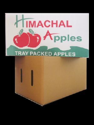 Printed Corrugated Boxes