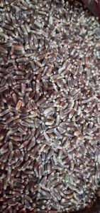 black wheat