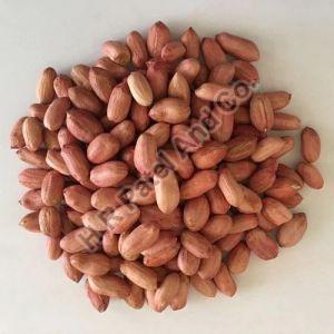 70/80 Bold Ground Nut Kernel