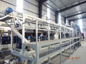 cashew nut processing machinery