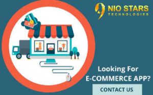 Ecommerce Website Development