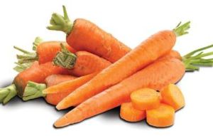 Carrot