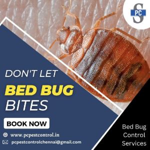 bed bug control services