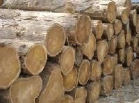 african timber logs