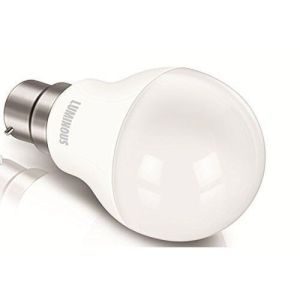 Luminous LED Bulb