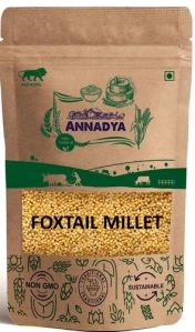 foxtail millet