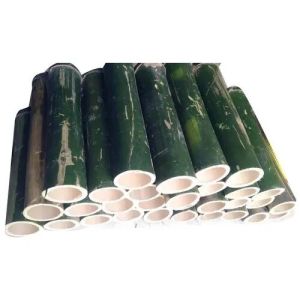 Green Bamboo Pole