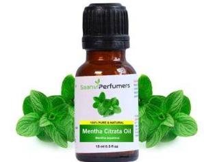 Mentha Citrata Oil