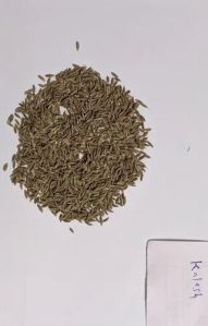 Cumin Seed