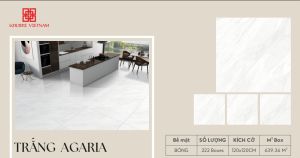 60 x 120 digital glazed vitrified tile