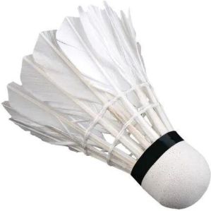 Badminton Shuttlecock