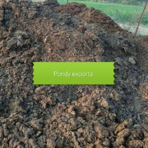 Organic cowdung compost