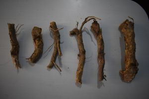 Salacia Reticulata Root