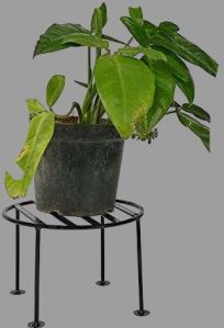 plant stand