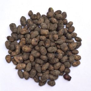 Dried Syzygium Cumini Seed