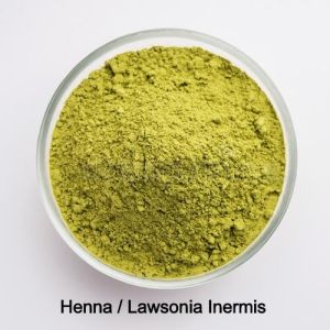 Lawsonia Inermis Powder