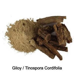 Tinospora Cordifolia Powder