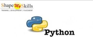 Python online Training