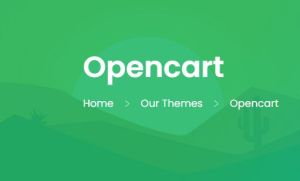 opencart developer