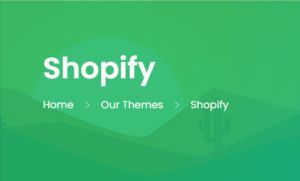 Shopify Theme Design