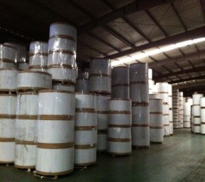 SBS Poly Coated Paper Rolls