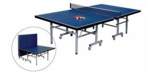 Movable Table Tennis Table