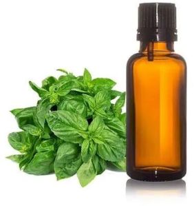 Holy Basil Oil